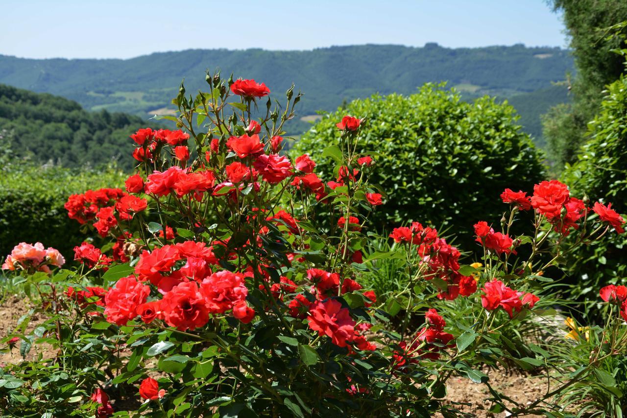 Il Poggiolo Di Parrano Guest House Екстериор снимка